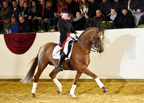 Demetrius Infodienst Haupt und Landgestüt Marbach